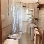 Oasi *