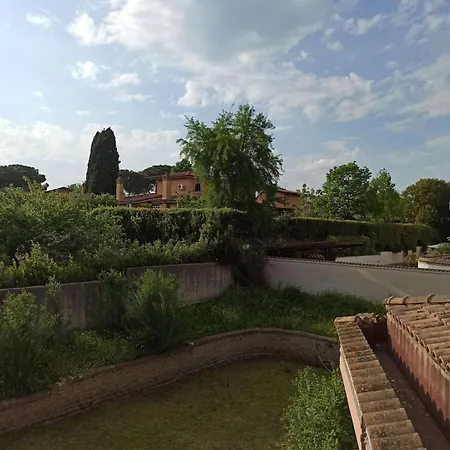 Oasi *