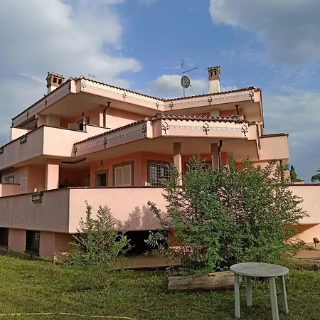 Oasi