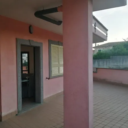 Oasi