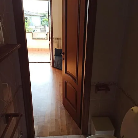 Oasi *